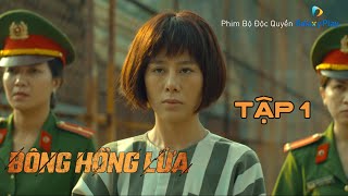 OFFICIAL | BÔNG HỒNG LỬA (Original Series) | NAM THƯ, THẬP BÁT CA, HOÀNG PHI, HÙNG CHILHYUN