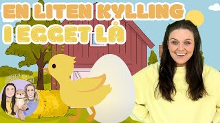 Molly og Mi 🐣 En Liten Kylling 🐣 (Barnesanger på norsk)