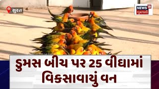 Surat Chirping Birds News : સુરતીઓને મોજ પડી જાય એવી જગ્યા ! ડુમસ બીચ પર 25 વીઘામાં વિકસાવાયું વન