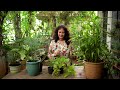 gardening made easy step by step gardening tutorial for beginners ep01 choosing your plants