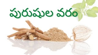 Ashwagandha Health Benifits|| అశ్వగంధ ఆరోగ్య ప్రయోజనాలు || Ayurvedham