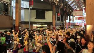 よさこい祭り2024 8 11 はりまや橋競演場 濱長花神楽