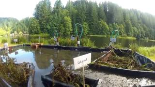 Fishhawk Lake OR Project Solutions Fish Ladder and spillway model demonstration