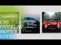 Image Overlay Hover Effect Using CSS  Flexbox | CSS  Image Overlay Hover Effect