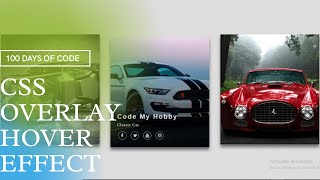 Image Overlay Hover Effect Using CSS Flexbox | CSS Image Overlay Hover Effect