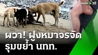 ผวา! ฝูงหมาจรรุมขย้ำนักท่องเที่ยวแผลทั่วร่าง | 4 ธ.ค. 67 | ข่าวเที่ยงไทยรัฐ