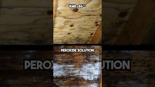 Rmr 86 Vs Peroxide Based Mold Solution