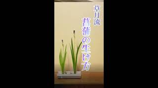 草月流生け花　菖蒲の生け方