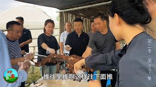 烤全羊还可以这样吃？实现烤肉自由 外地人直呼吃的过瘾！