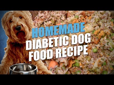 Homemade Diabetic Dog Food Recipe (Cheap and Healthy) Homemade Diabetic Dog Food Recipe (Cheap and Healthy)