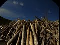 beavers imax trailer