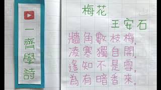 梅花 王安石｜一齊學詩｜宋詩 古詩｜繁體 手寫 粵語 廣東話 版本