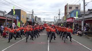 【公式】踊り侍 18 POWER　にいがた総おどり祭 山ノ下市場通り会場