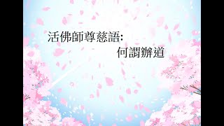 活佛師尊慈語:何謂辦道