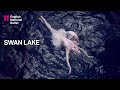 swan lake peasant pas de trois extract english national ballet