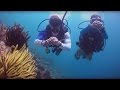 PADI Divemaster Course