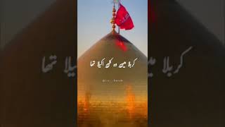 جھکتا ہی نہیں سر کسی ظالم کے سامنےہمت ہی ایسی دے گیا سجدہ حسین کا#shorts #viralvideo #youtubeshorts