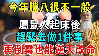 今年臘八很危險！屬鼠人起床後，趕緊去做1件事！再倒霉也能逆天改命！|明心見禪 #生肖 #命理  #運勢 #屬相 #風水