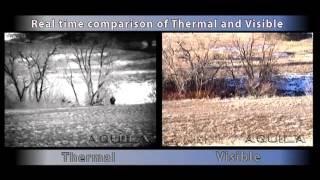 BioAmerica Defense Liteye Thermal Visible Compare