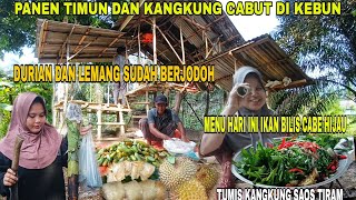 DURIAN DAN LEMANG BERJODOH DARI DULU ‼️PANAN TIMUN DAN KANGKUNG DI KEBUN