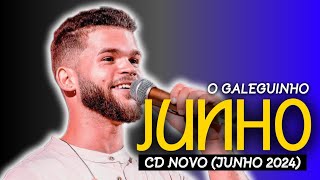 O GALEGUINHO - REP. NOVO | MÚSICAS NOVAS (JUNHO 2024)