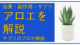 【「医者いらず」と呼ばれる天然成分の王様】アロエの効果や副作用、おすすめで安全なサプリを紹介！