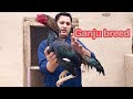 kamaliya breed, ganju breed pulet and roosters by Nadeem shah Aseel