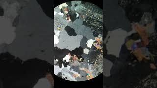 2162-19 | Quartz (XPL)