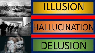 Illusion vs Hallucination vs Delusion explained with examples