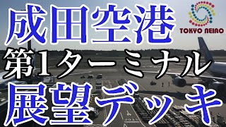 【番外編 映像】成田空港展望デッキからの映像（スマホ撮影 飛行場）