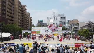 ほろろ一座 鬼粋 2019岡山うらじゃ1日目下石井公園演舞場