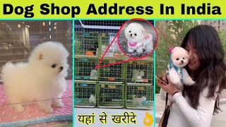 Dog Shop Address In India | Pomeranian Dog Price In India | Cheapest Dog Market In India rajesh 5g