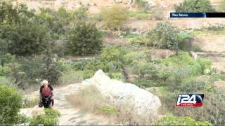 Battir Terraces Hanging on the Balance