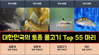 우리나라 토종 물고기 Top 55