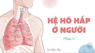 Hệ hô hấp ở người (phần 1) - Khoa học tự nhiên 8 - OLM.VN