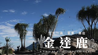 【露營】植栽造景夯營區南庄金達鹿｜男子solo camp配置｜開箱原木圓生12月發售椅子｜創作者的交(喝)流(酒)｜ Ft. @campibara  #皮卡皮卡#a7s3