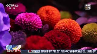 多家花店蛋糕店被骗子利用洗钱Multiple flower shops and cake shops were utilized by scammers for money laundering.