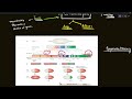 polycomb and trithorax group proteins epigenetics gate csir net