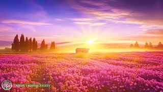 528 HZ SERENE SUNRISE ➤ Beautiful HAPPY Morning Music - Positive Euphoria Energy