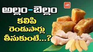 అల్లం-బెల్లం కలిపి రెండుసార్లు తీసుకుంటే |  Benefits of Ginger and Jaggery Recipes | YOYO TV Channel