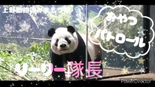 リーリー『おやつパトロール』上野動物園みまもり隊☆パトロール記録