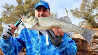 SEA BASS FISHING IN STORMY SEAS / Topwater Lures Sea Bass Fishing / Spin Rod Fishing / Shimano Set