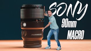 SONY 90mm f 2.8 Macro -  НЕ макро, объектив для всего!