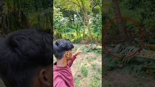 💥🤯ஆத்தாடி எவ்வளவு பெரிய பாம்பு🤐.... #shorts #shortvideo #youtubeshorts #vppuvivlogs #trending