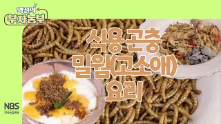 [역전의부자농부 244회] 단백질 가득 식용 곤충 밀웜 요리(고소애 요리)