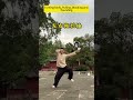 Taichi Practical Moves#taichi #kungfu #taijiquan #wushu #sports #shorts #china