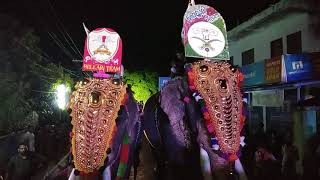 Puthirippadam palli nercha pattola 2018 part 10