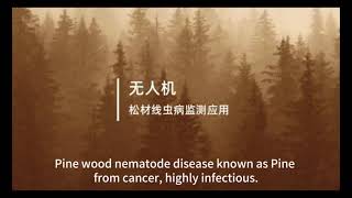 Damn pine wood nematode!