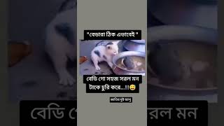 বেডারা ঠিক এই ভাবে বেডিগো সহজ সরল মনটারে চুরি করে #funny #viralvideo #shorts #comedy