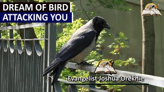 Dream of BIRD ATTACKING YOU - Biblical Meaning of Birds and Message